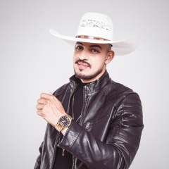 HENRIQUE COWBOY - MEL DA SUA BOCA / QUE SAUDADE